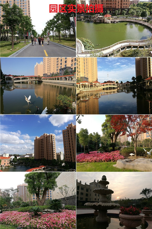 1640750166499031575.jpg 1611648583526718613.jpg