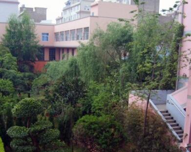 1651713547042063264.jpg QQ截圖20220505091459.jpg