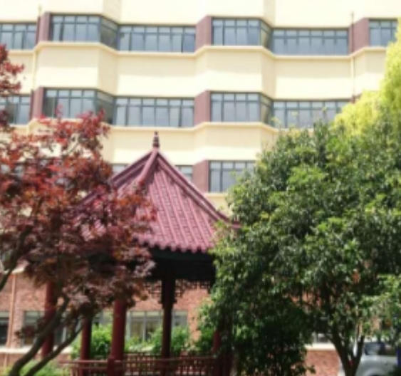 1658243528714089879.png 上海.png