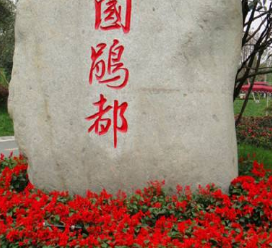 1676212059341079182.png 1676212059341079182.png