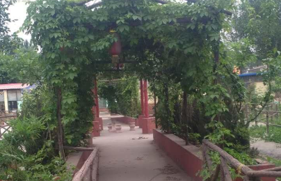 1676793503851050137.png 1676793503851050137.png