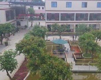 1679138850846001095.png 1679138850846001095.png