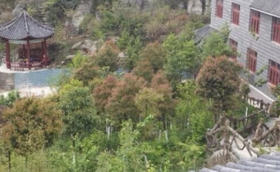 1683097026995013041.png 1683097026995013041.png