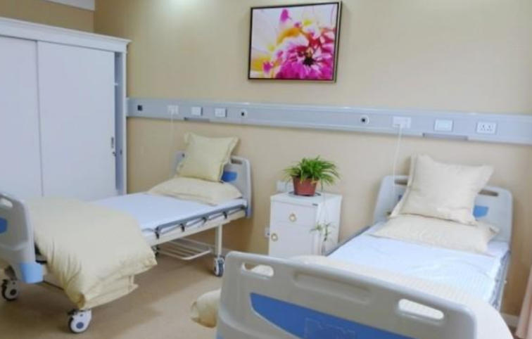 1684640704868020841.png 1684640704868020841.png