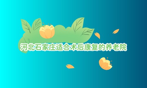 1684663847806080082.jpg 1 (11)_副本.jpg