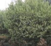 1684674498494046493.png 1684674498494046493.png