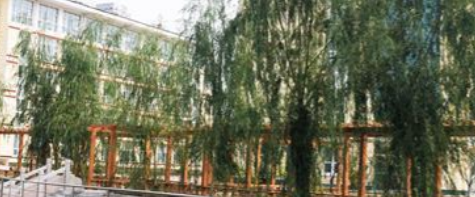 1684674820875086425.png 1684674820875086425.png