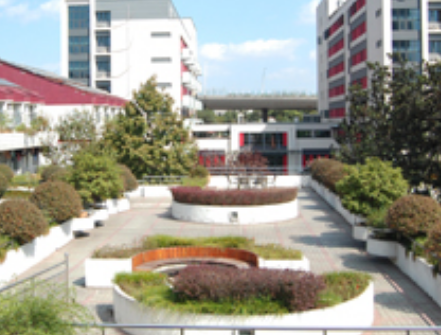 1685536155320020574.png 1685536155320020574.png