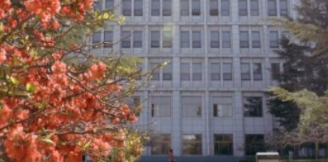 1685536535007050291.png 1685536535007050291.png