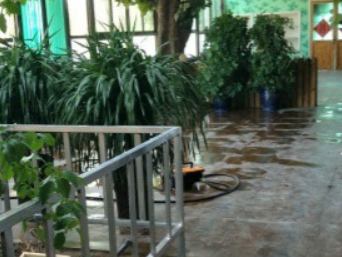 1690890782578080558.png 1690890782578080558.png