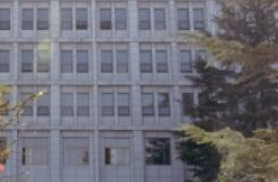 1691199921983048556.png 1691199921983048556.png