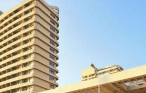 1691202873523093191.png 1691202873523093191.png