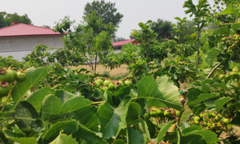 1691240742917017114.png 1691240742917017114.png