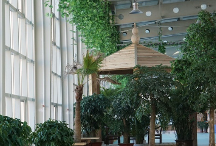 1693747222638065295.png 1693747222638065295.png