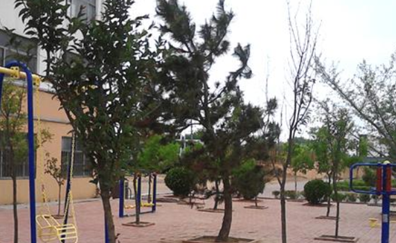 1696517597484048486.png 1696517597484048486.png