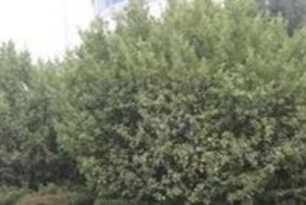 1699171389002013765.png 1699171389002013765.png