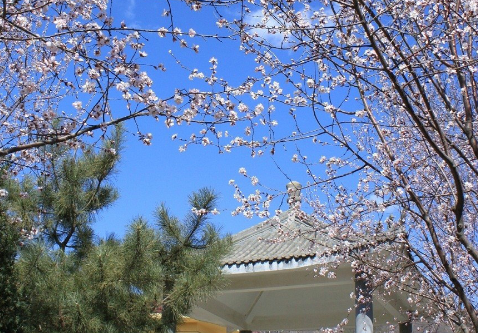 1699172729770028411.png 1699172729770028411.png