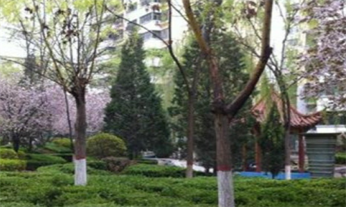 1701779564971087309.png 20.png