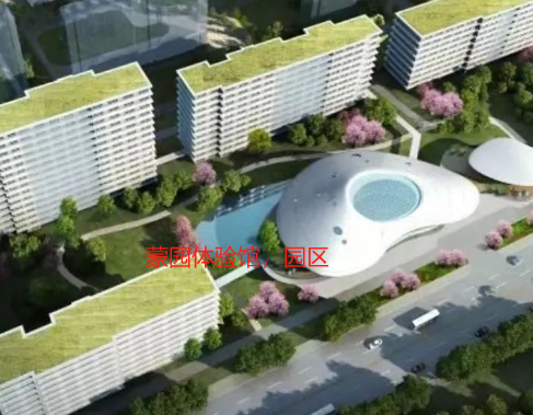 1711510169278096032.png 1711510163878.png